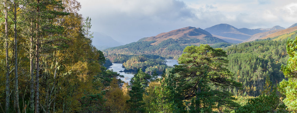 View point on the Dog Falls – Viewpoint Trail marked path looking up the Glen